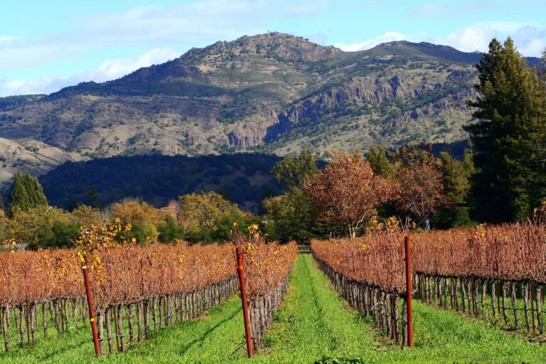 moving to Napa Valley