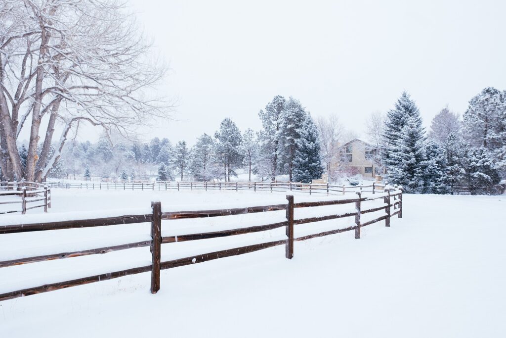 moving to Cherry Hills