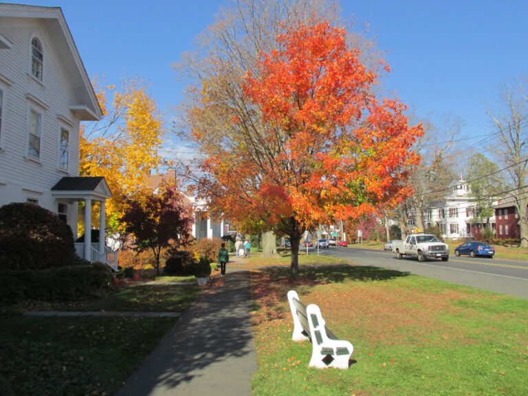 moving to Newtown