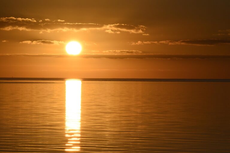 Moving to Florida? Florida Relocation Guide