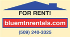 Blue Mountain Rentals