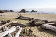 Brookings Relocation Guide