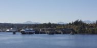 Relocating got Bainbridge Island