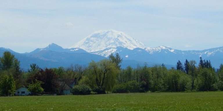 Moving guide for Enumclaw Washington