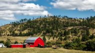 Wyoming Moving Guide