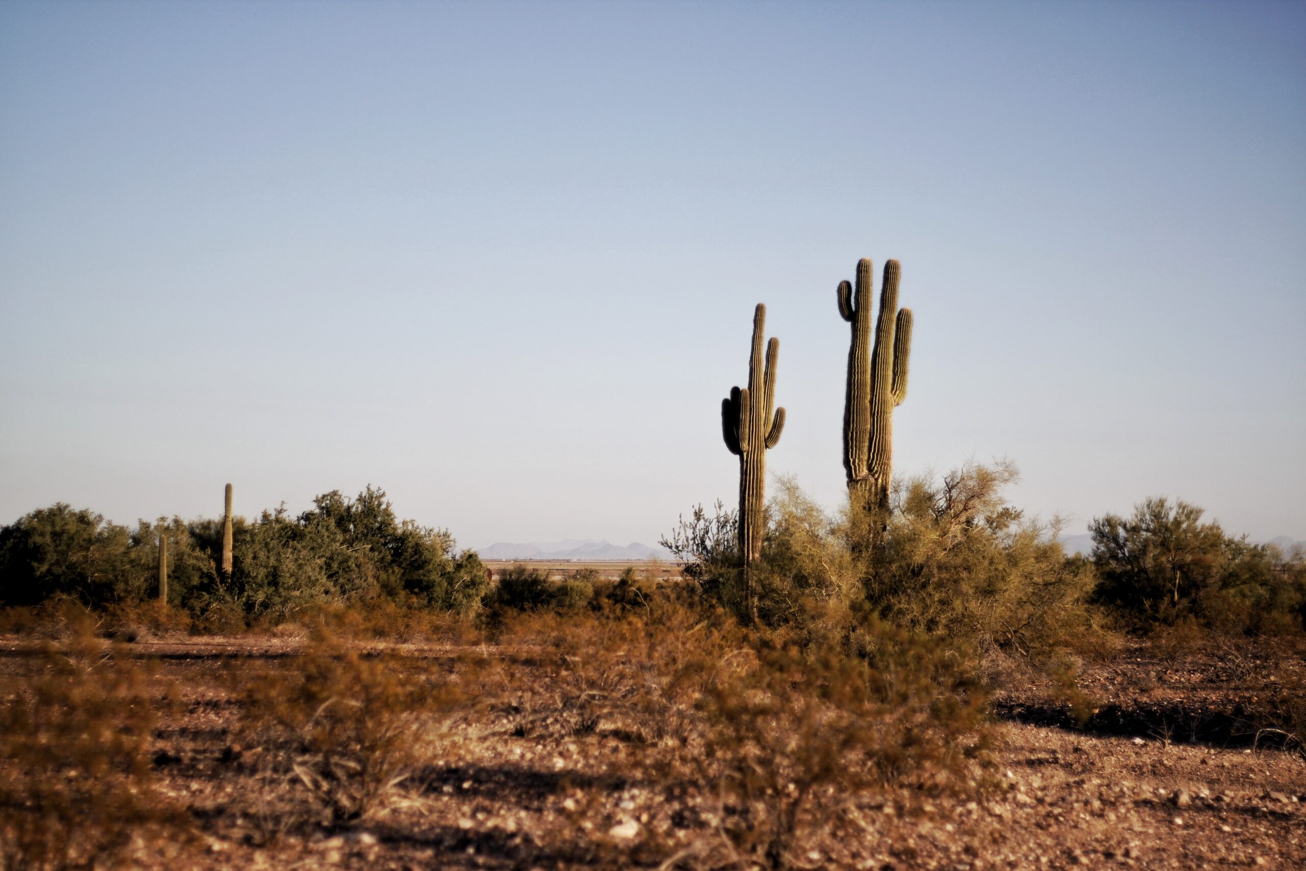 relocating to Ahwatukee Foothills