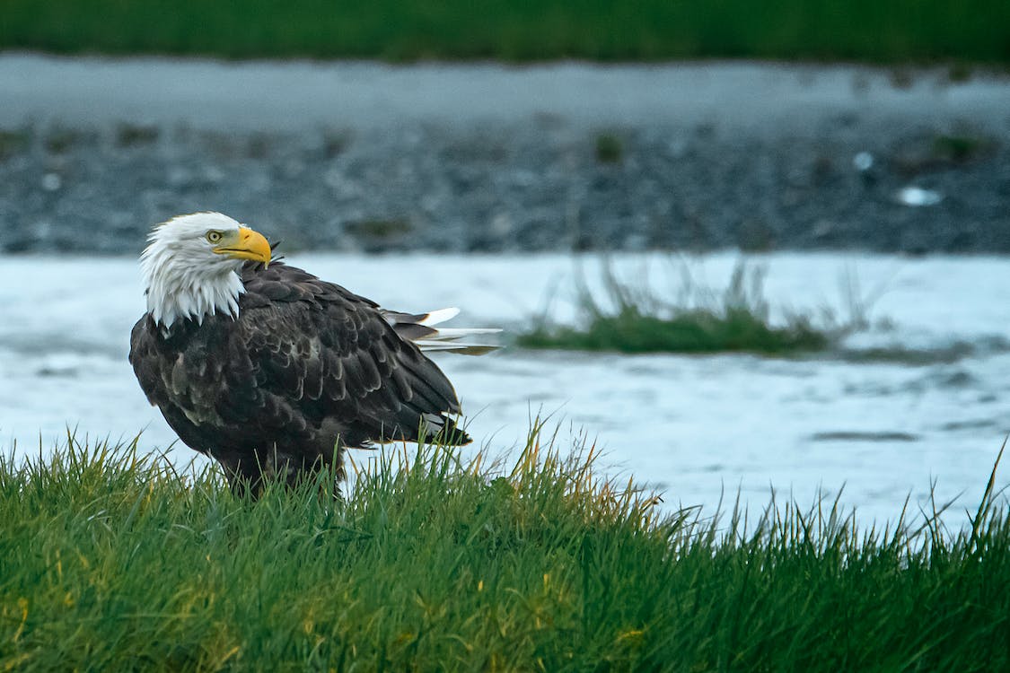 relocating to Eagle River