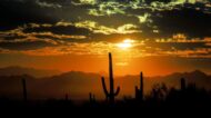 relocating to Marana, AZ