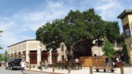 moving to Morgan Hill CA