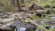 Moving to Payson, AZ